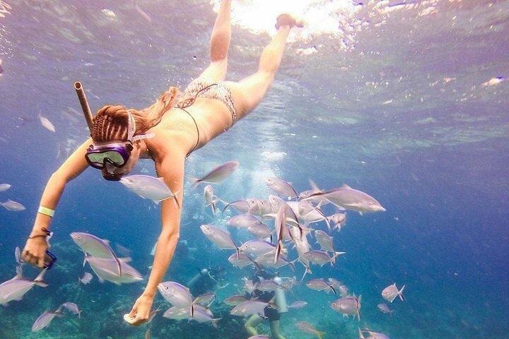 Catalina Island & Snorkling Tour Full Day All Inclusive