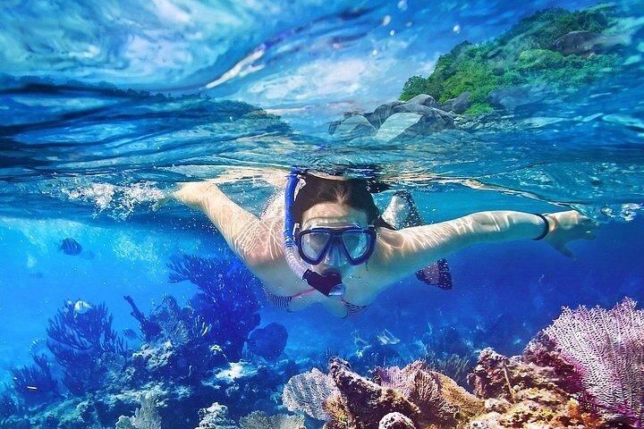 Catalina Island & Snorkling Tour Full Day All Inclusive