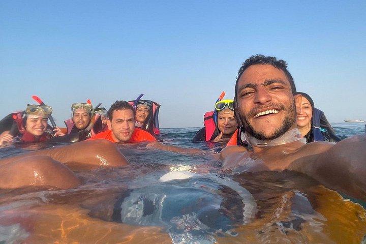 ジュゴンとカメと一緒にシュノーケリングをするマルサ・ムバラク - marsaalam