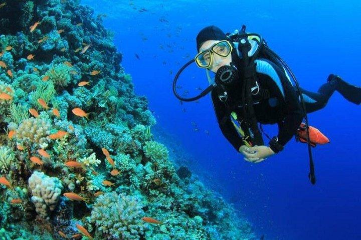 ルクソール発ハルガダ紅海シュノーケリングへの素晴らしい一日