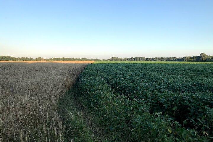 Private Countryside tour from Kyiv