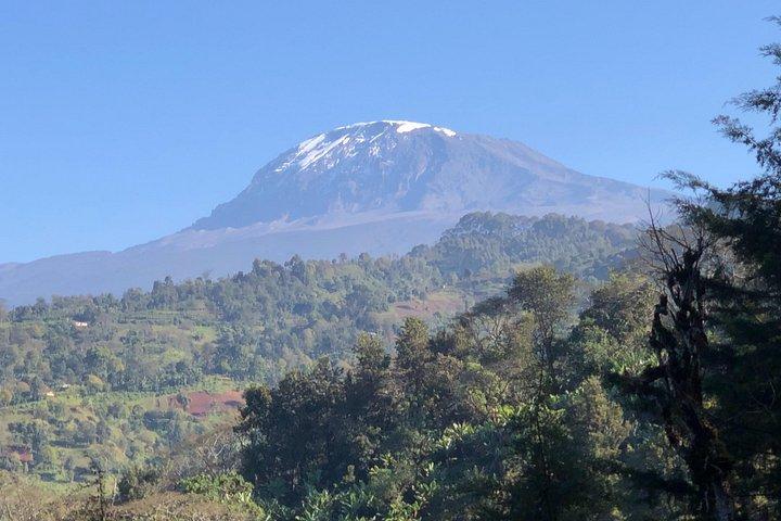 Visite des cascades et du café de Materuni