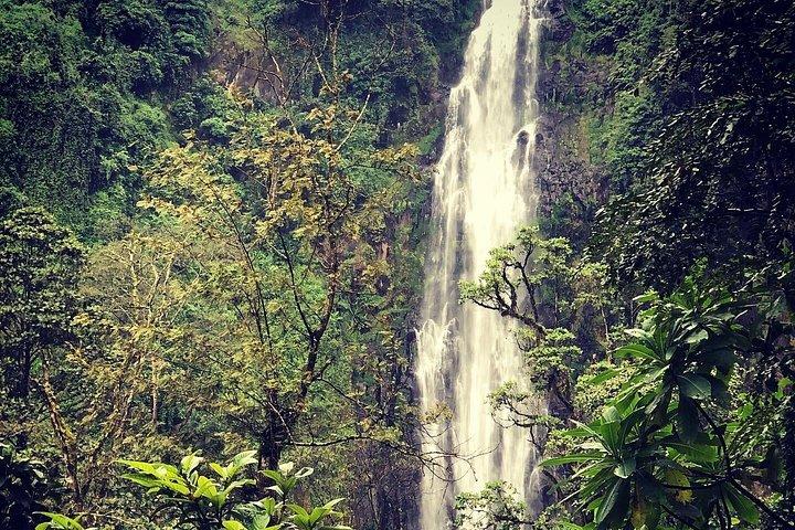 Visite des cascades et du café de Materuni