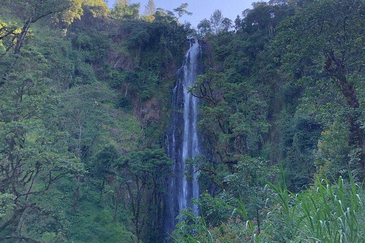 Visite des cascades et du café de Materuni