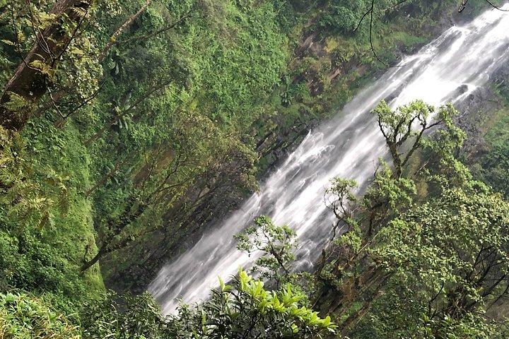 Visite des cascades et du café de Materuni