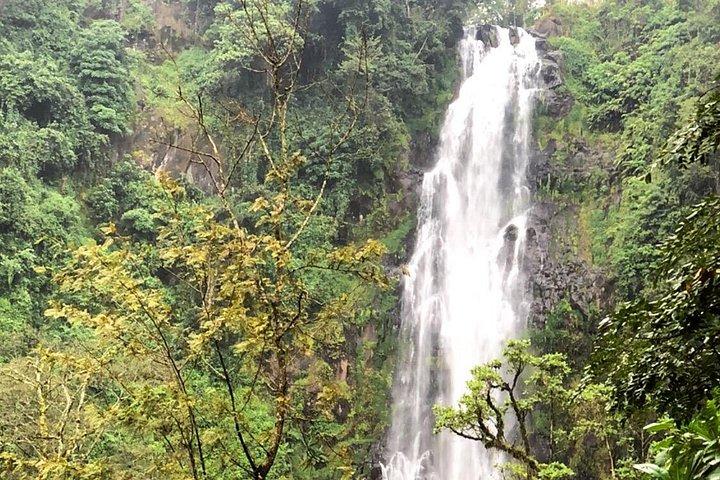 Visite des cascades et du café de Materuni