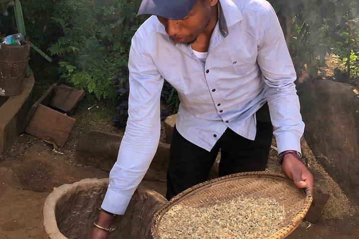 Visite des cascades et du café de Materuni