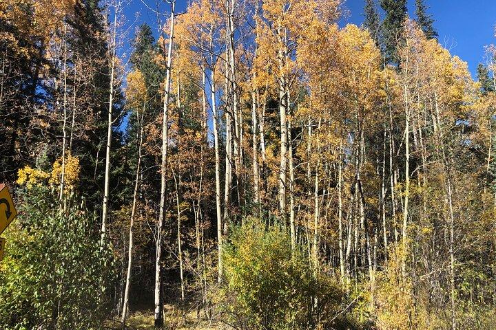 Privat turvandring til Saint Mary's Glacier, Red Rock og Hot Springs