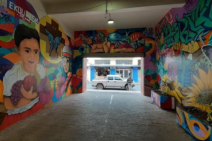 Cuenca City Private Tour