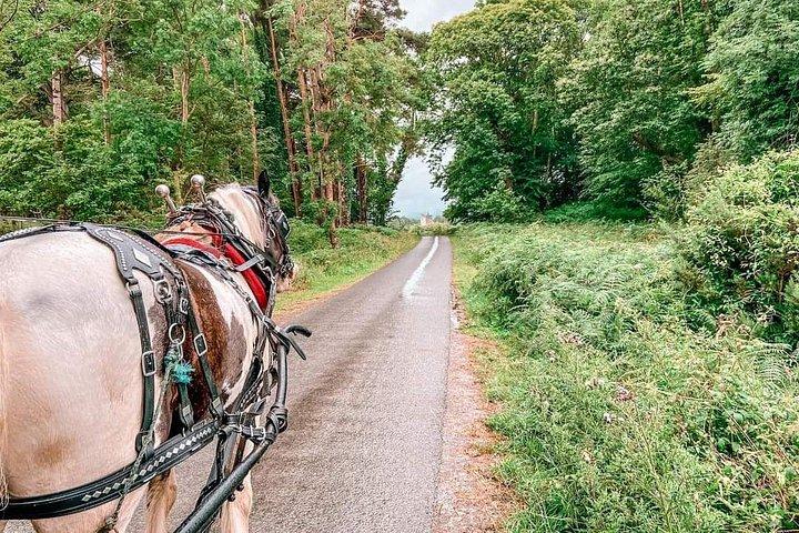 Killarney Nationaal Park Tour