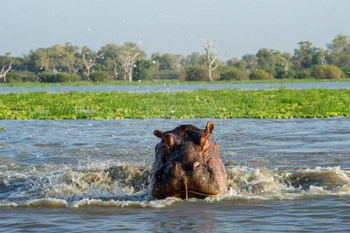 Visite privée de 2 jours dans le parc national de Mikumi au départ de Dar es Salaam