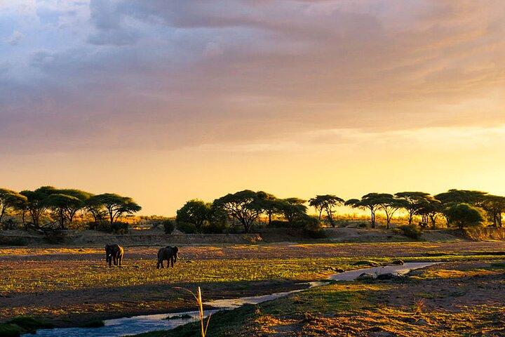 Visite privée de 2 jours dans le parc national de Mikumi au départ de Dar es Salaam