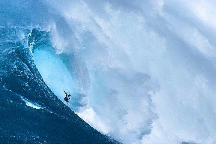ハワイの「世界的に有名なオアフ島のノースショア」でのサメケージダイビング