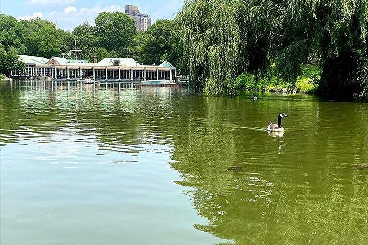 Excursão sem glúten em Central Park NYC
