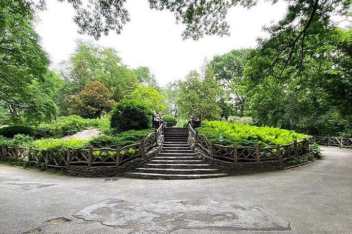 Excursão sem glúten em Central Park NYC