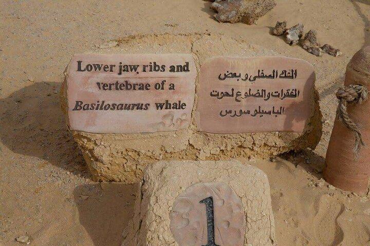 Tour de un día a El Fayoum desde El Cairo