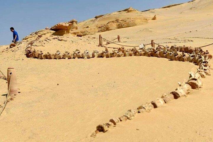 Excursion d'une journée au Fayoum depuis le Caire