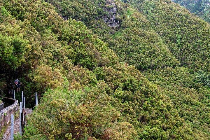 Passeggiata a Madeira Levada, laghi e cascate Rabacal