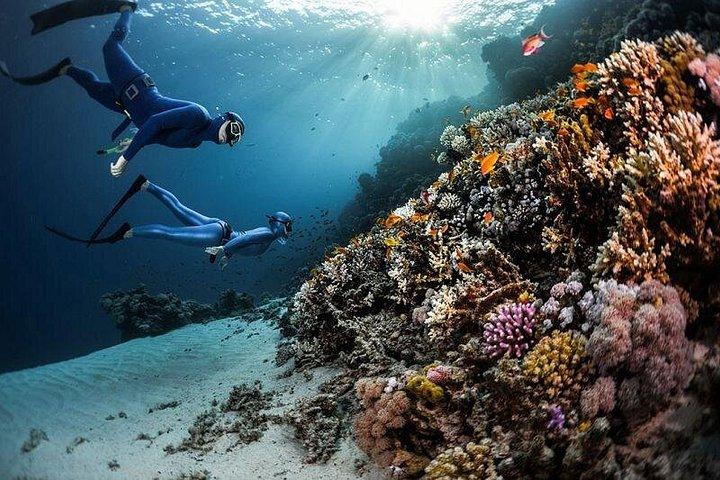 ルクソール発ハルガダ紅海シュノーケリングへの素晴らしい一日
