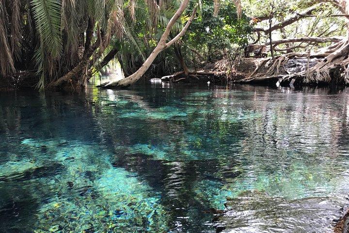 Chemka Hotsprings