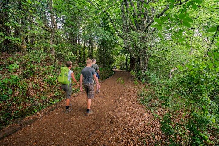 マデイラ島のCaldeirãoVerde Levadas Walk