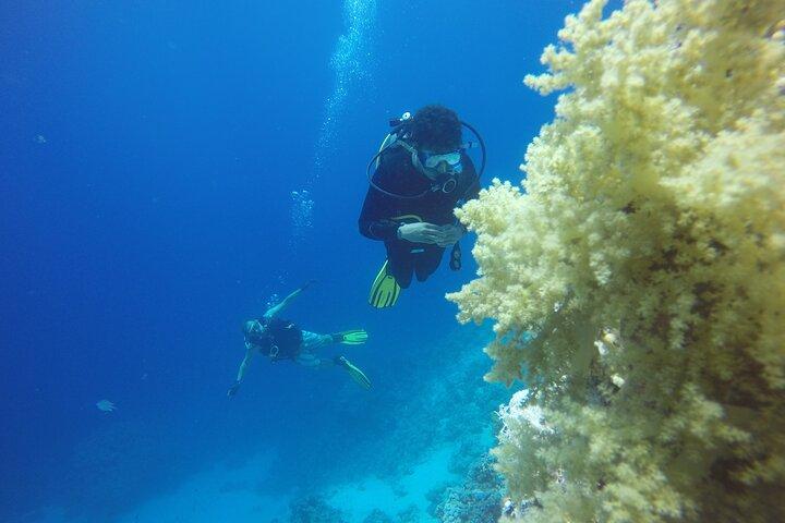 PADI 3 Dias Open Water Course
