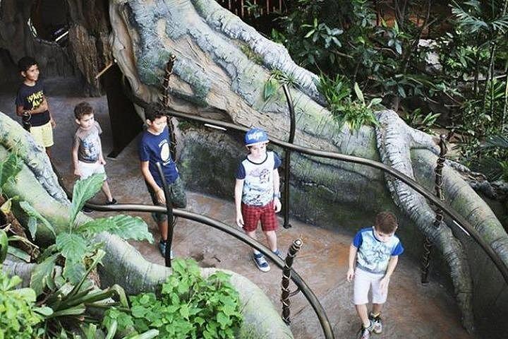 グリーン プラネット チケット付きドバイ シティ ツアー
