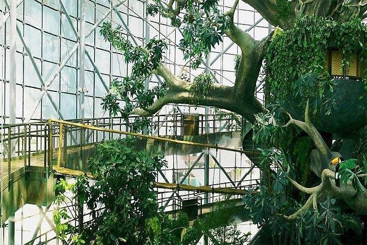 グリーン プラネット チケット付きドバイ シティ ツアー