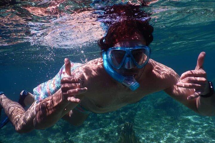 Privat Choklad & Rumfactory Tour Snorkling Coral Reef WestEnd