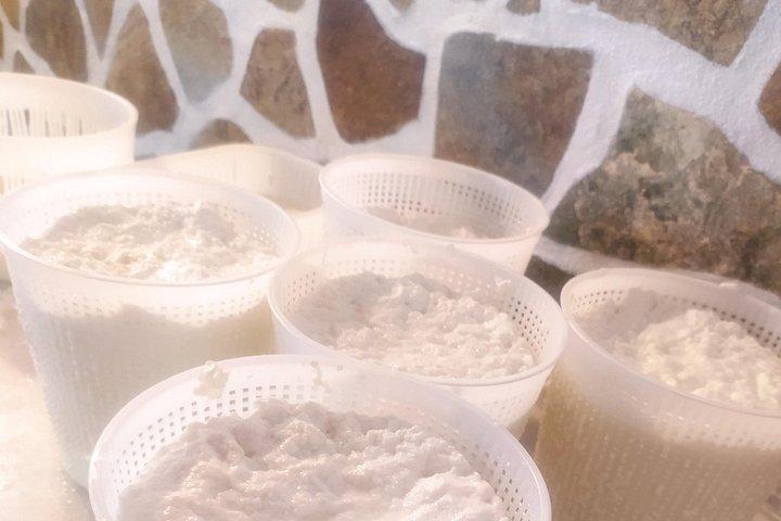 Naxian Farm Experience with hands on Cheese Making activity