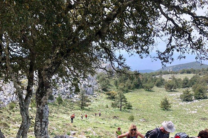 Small Group Hiking on Mount Akramitis in Rhodes