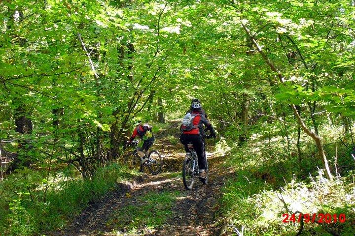 Mountainbike Tour durch Brasov