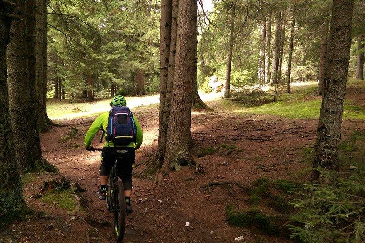 Mountainbike Tour durch Brasov