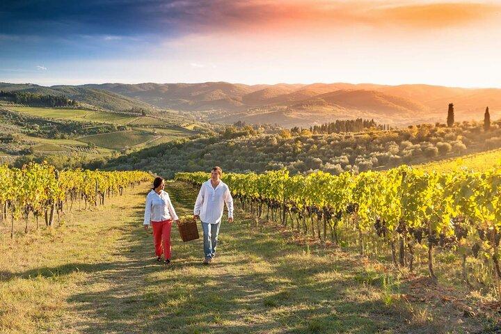 Druivenstampen en wijnproeven in Toscane