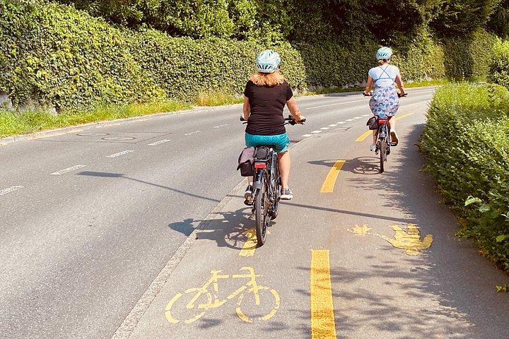 Lake Lucerne Peninsula e-cykeltur