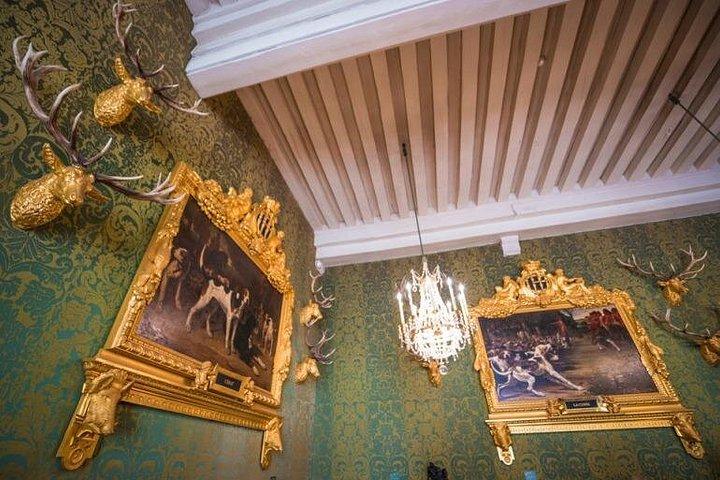 パリからのシャンボール、シュノンソー、アンボワーズのプライベート 1 日ツアー