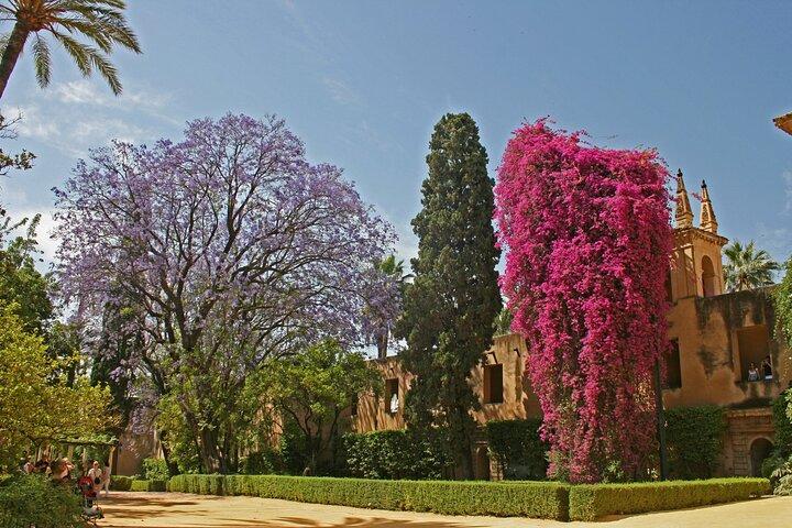 Exclusief Alcazar met ontbijt of koffie in de tuin