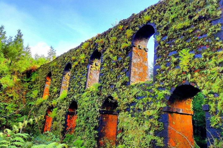 Half Day Sete Cidades Crater Minivan Tour