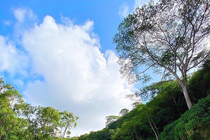 カウアイ島アドベンチャー：エキスパートガイド付きカヤック＆秘密の滝ハイキング