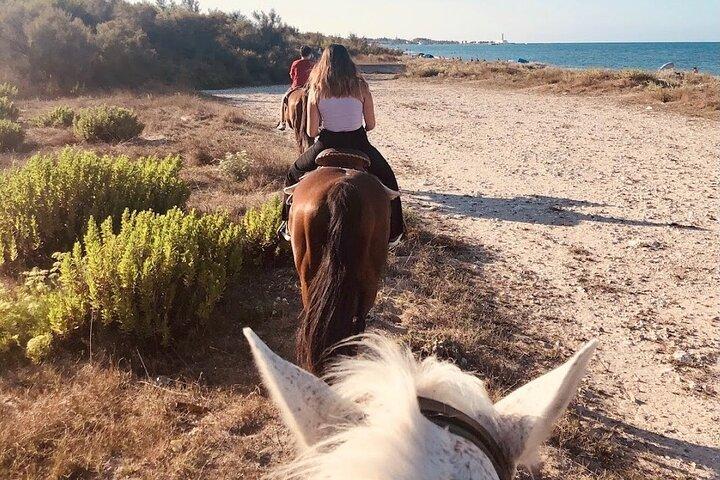 Paardrijden in een natuurreservaat van Salento met transfer vanuit Lecce
