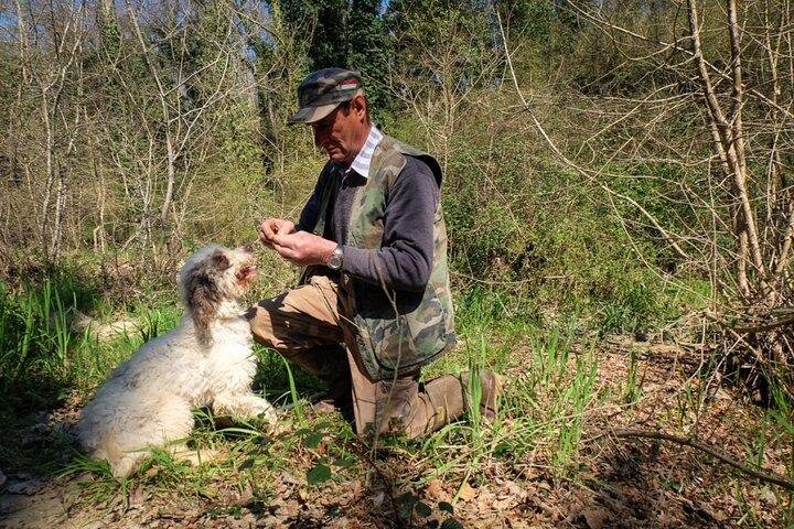 Caça privada de trufas na Toscana