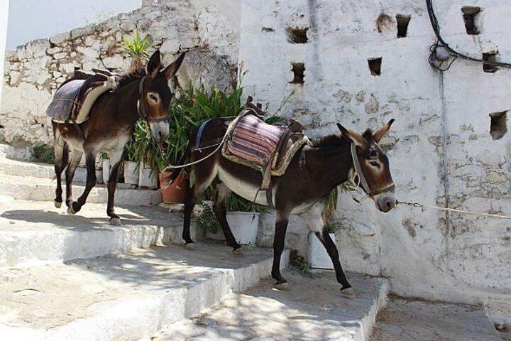 クルーズ港発ロードス島、リンドス島、中世都市ガイドツアー