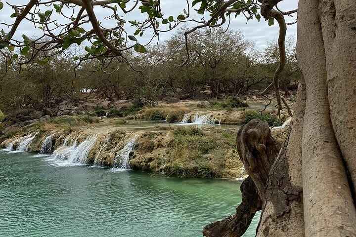 Tour privato di mezza giornata a Salalah Est