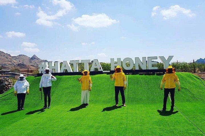 ピック＆ドロップを含むエキサイティングなアクティビティと八田山ツアー