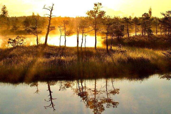 Soluppgång vid Kemeri nationalpark - liten grupp