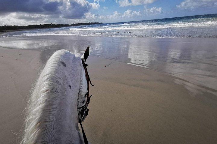 Beach and Mountain Overnight Horseback Riding Combo in El Seibo