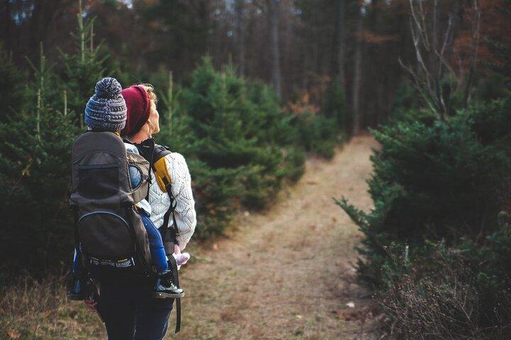 Escursione nella natura per famiglie intorno alla valle del Big Bear