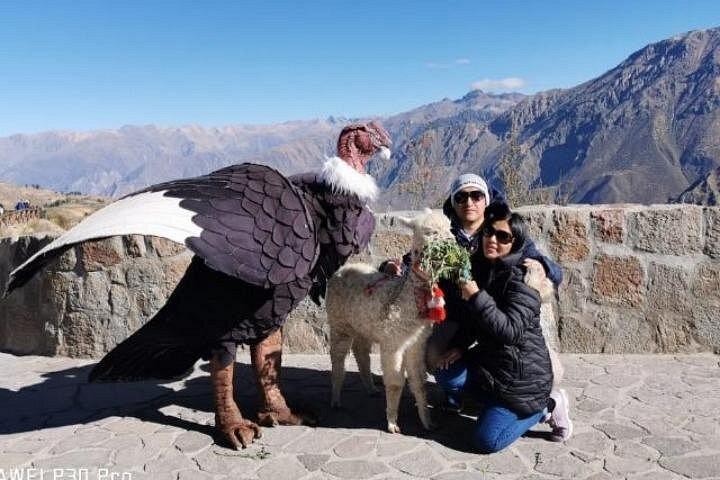 Colca Trekking Adventure 2 days / 1 night