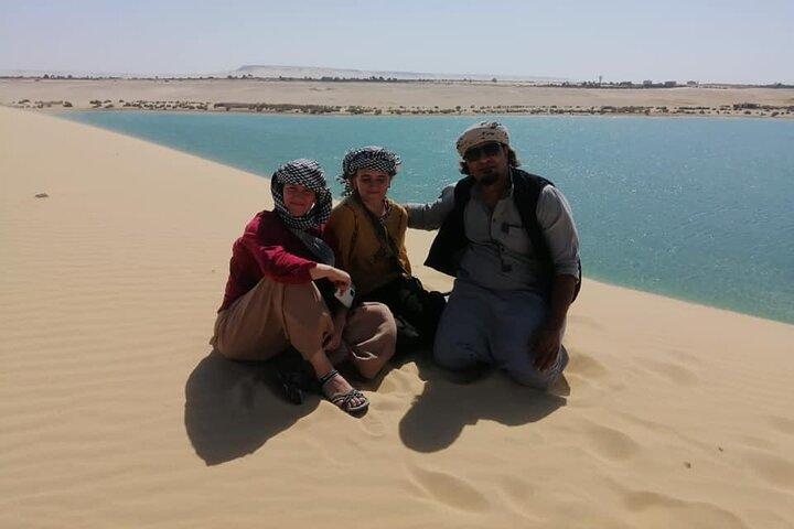 Visite privée de la vallée des baleines et des chutes d'eau de Wadi El Rayan