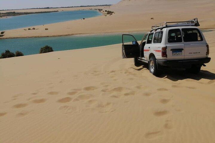 Visite privée de la vallée des baleines et des chutes d'eau de Wadi El Rayan